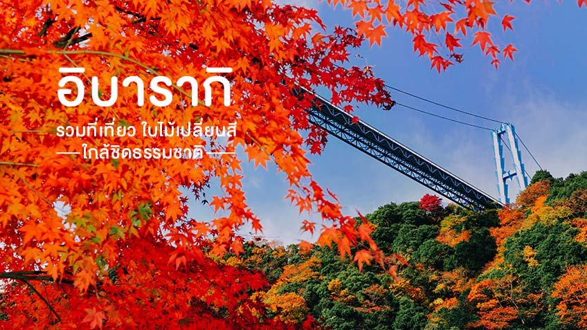 ปักหมุด รวมที่เที่ยวญี่ปุ่น ใบไม้เปลี่ยนสี อิบารากิ ใกล้ชิดธรรมชาติ